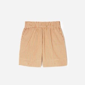 Everlane Gingham Easy Short